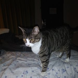 Meet your Posher, Candice